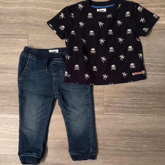 Hudson Jeans Other - Hudson Jeans Navy Skull Sweater with Denim Jeans Set